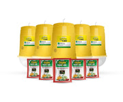 Chipku Melonfly Glass Trap phermone Trap for bactocera Cucurbitae/Insect Trap for Orchards and Climer Crops with pheromone Lure Combo Pack of 5