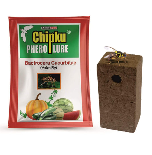 Chipku - Melon fly Pheromone attractant Lure (bactocera cucurbetai)