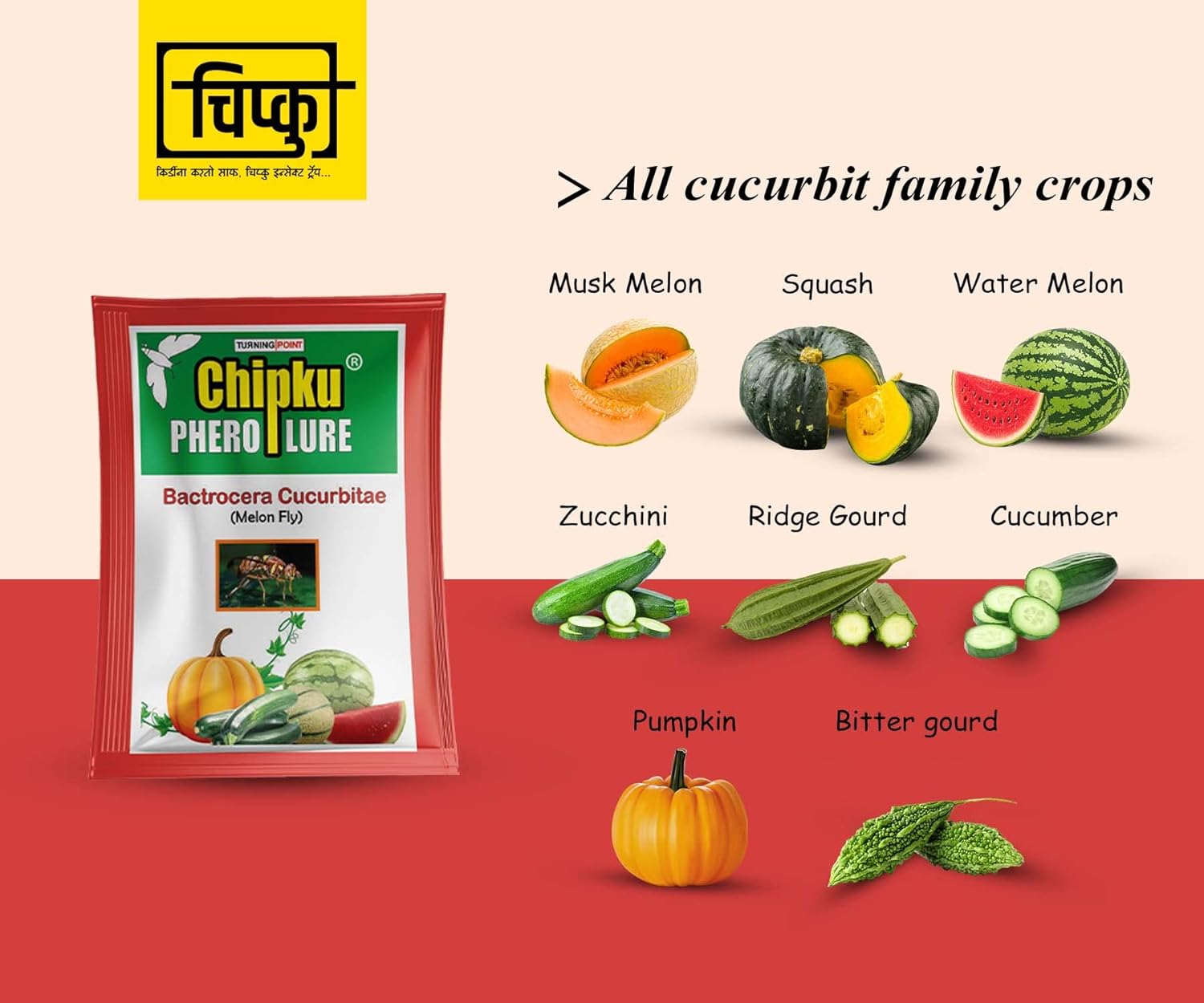 Chipku- Maxplus pheromone Trap with Melon Fly (bactocera cucurbitae) Lure for cucurbits Crops - Pack of 2