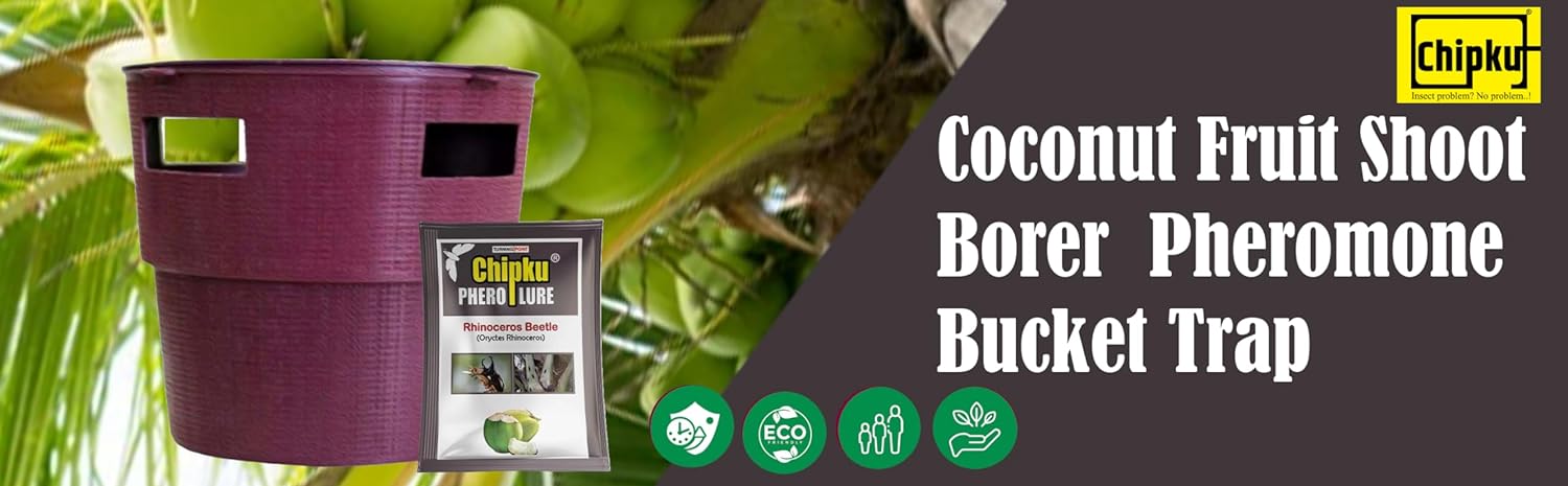 Chipku - Buket Trap with Rhinoceros Beetle Pheromone Lure Pack of 5