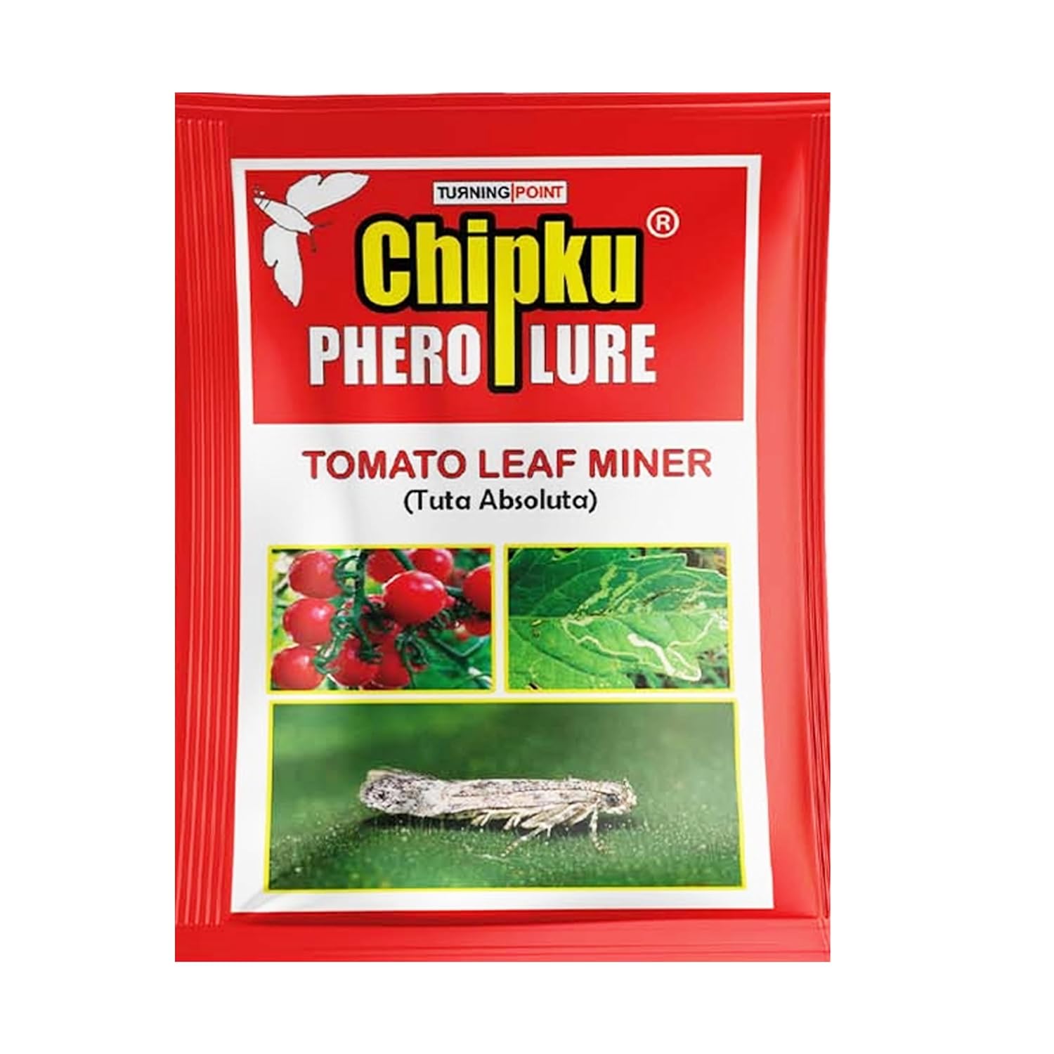 Chipku-pheromone Lure for Tomato Leaf Minor (TLM) (Tuta Absoluta) (10)