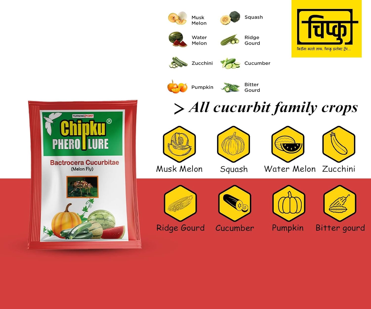 Chipku Melonfly Glass Trap phermone Trap for bactocera Cucurbitae/Insect Trap for Orchards and Climer Crops with pheromone Lure Combo Pack of 5