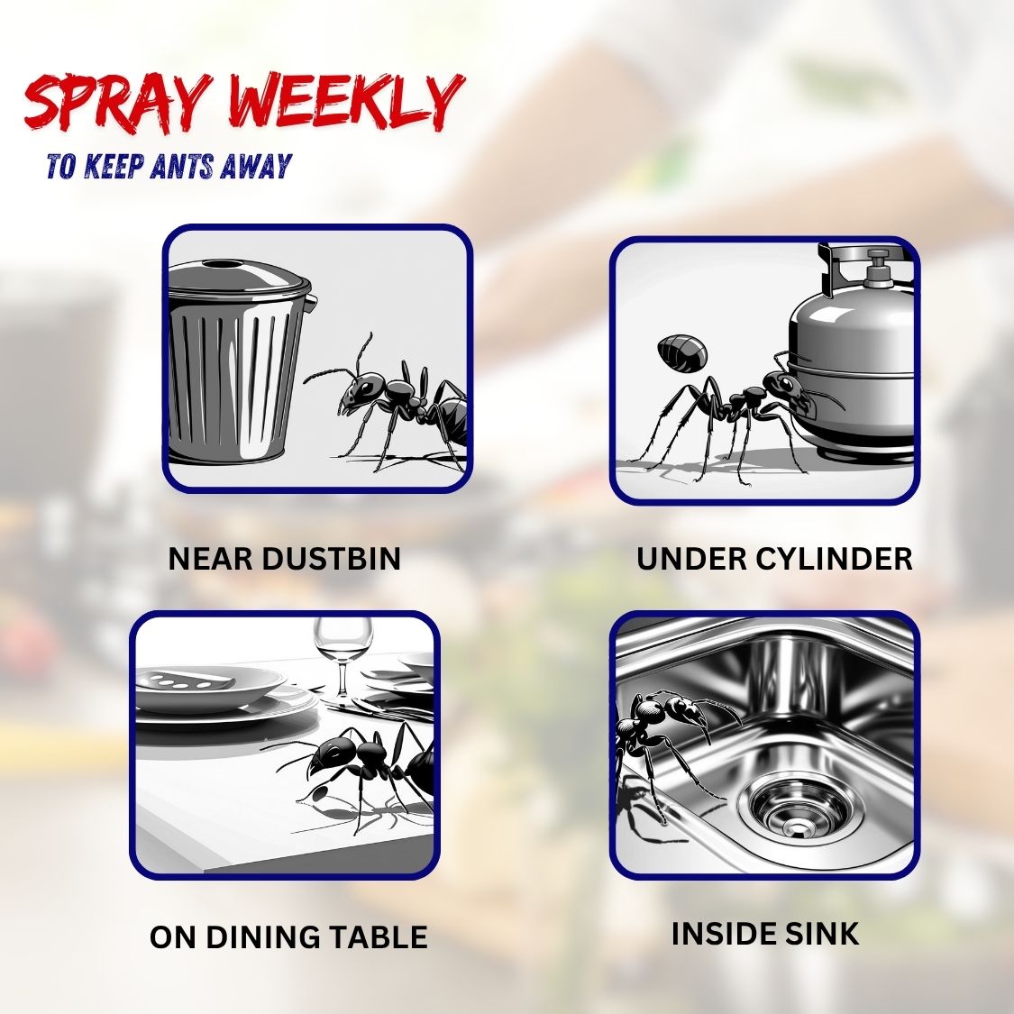 Amish A Eco-Friendly Ant Repellent Spray for Home - 250 ml