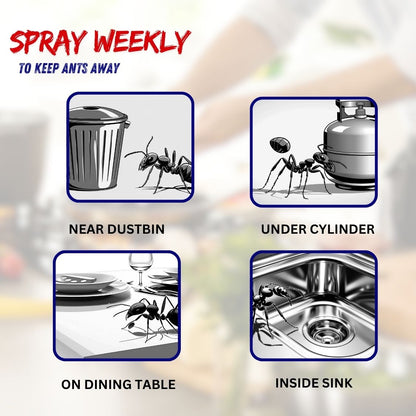 Amish A Eco-Friendly Ant Repellent Spray for Home - 250 ml