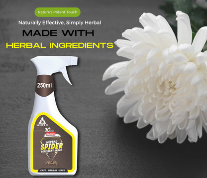 Amish -A Eco-Friendly Spider Repellent Spray