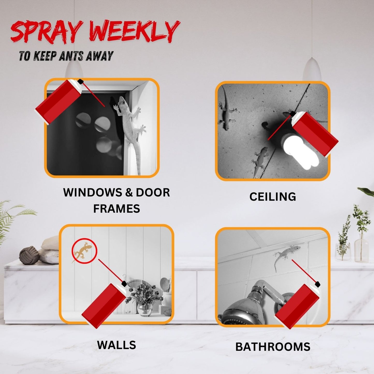 Amish Ultra Lizard Spray Special Ready To Use Spray For Home - Pack of 1