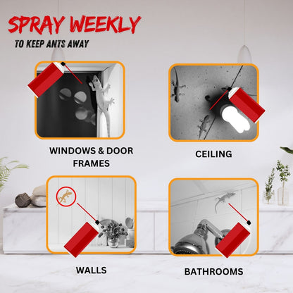 Amish Ultra Lizard Spray Special Ready To Use Spray For Home - Pack of 1