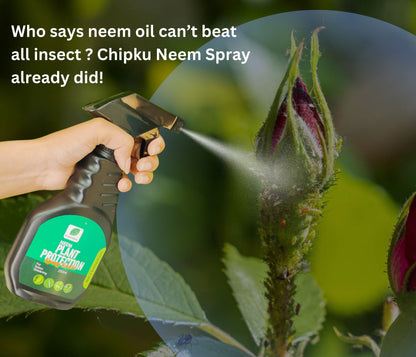 Chipku -Pure Cold Pressed, Water Soluble Insects neem Oil for Spray on Plants and Garden (250 ml)