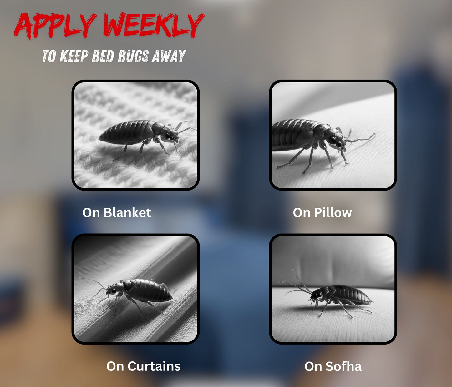 Amish Herbal Bed-Bug Repellent 100ML (PACK OF 2)