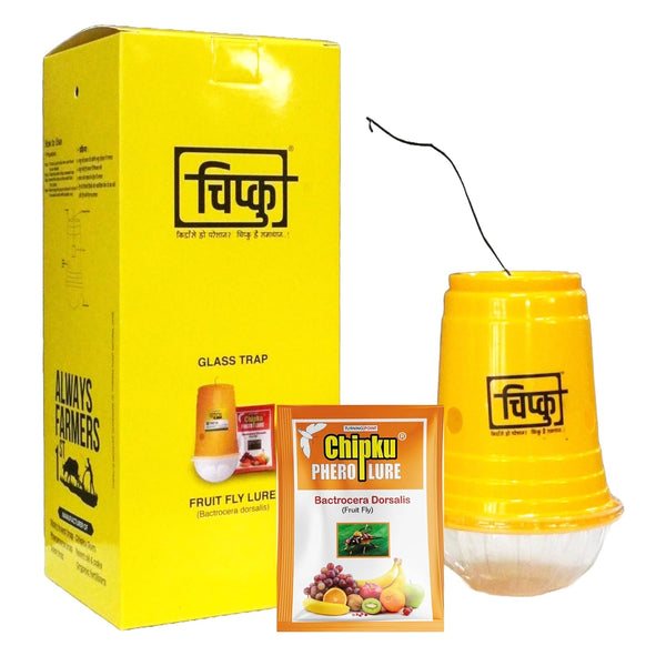 Chipku Bactocera Dorsalis Fruit Fly Outdoor Eco Pheromone Trap with Lure Useful in Mango, Papaya, Sapota, Guava, Pomegranate, Sweet Fruit - Pack of 10 Yellow