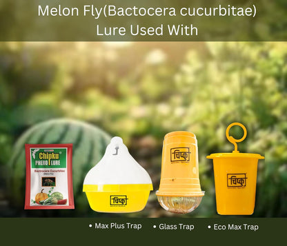 Chipku - Melon fly Pheromone attractant Lure (bactocera cucurbetai)