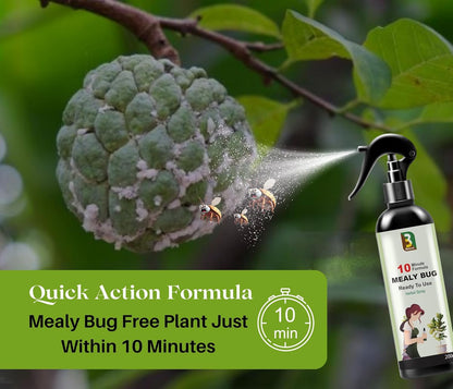 Chipku Herbal Mealy Bug Spray For Plants & Garden 200ml|