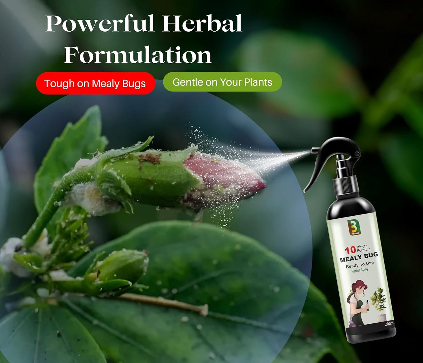 Chipku Herbal Mealy Bug Spray For Plants & Garden 200ml|