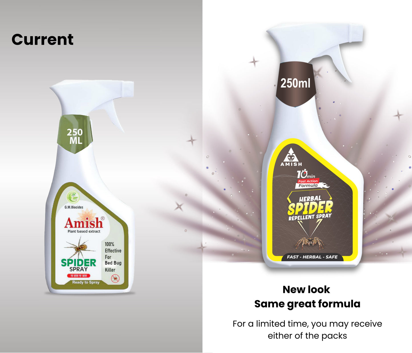 Amish -A Eco-Friendly Spider Repellent Spray