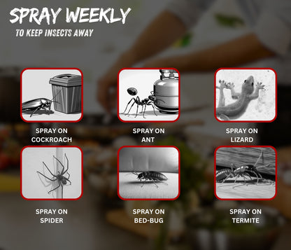 Amish - All-in-One Insect repellent Herbal Spray For Home - 250 ml