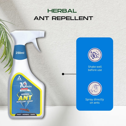 Amish A Eco-Friendly Ant Repellent Spray for Home - 250 ml