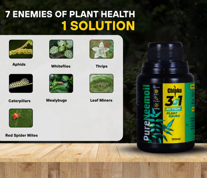 Chipku -Pure Cold Pressed, Water Soluble Insects neem Oil for Spray on Plants and Garden (250 ml)