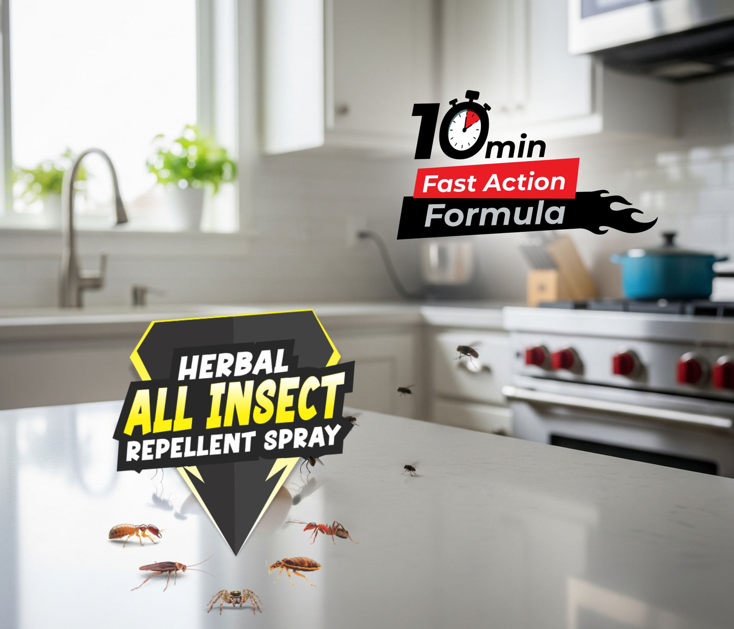 Amish - All-in-One Insect repellent Herbal Spray For Home - 250 ml