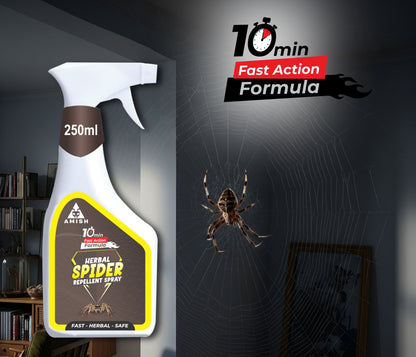 Amish -A Eco-Friendly Spider Repellent Spray