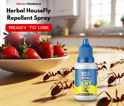 Amish A Eco-Friendly Ant Repellent for Home