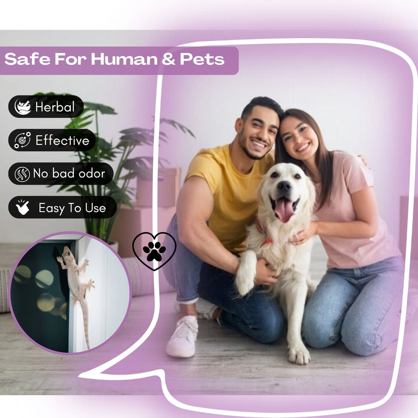 Amish Ultra Lizard Spray Special Ready To Use Spray For Home - Pack of 1