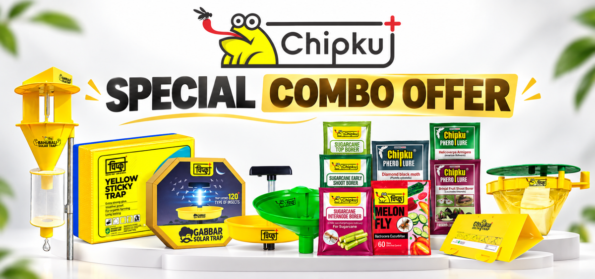 Chipku