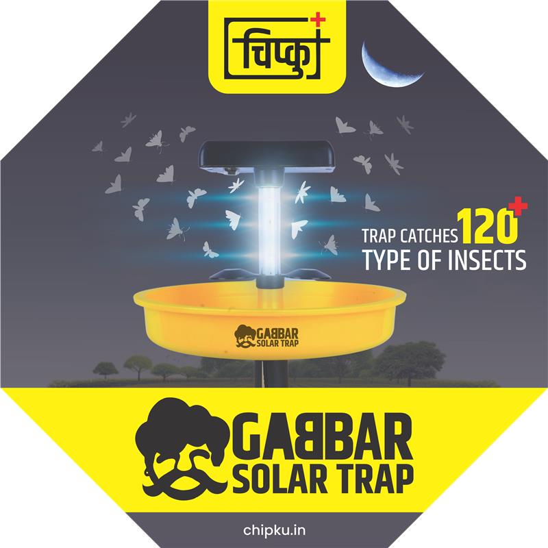 Gabbar solar trap