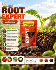 Chipku Root Expert-500gm