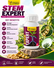 Chipku Stem Expert-500ml