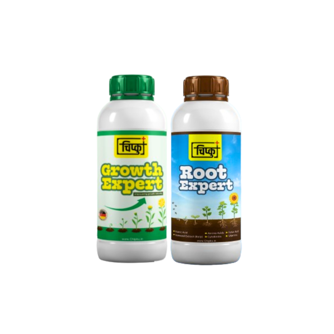 Root Expert and Growth Expert Combo Power - 500 ml each