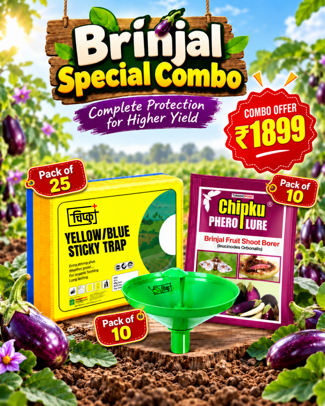 Brinjal Special Combo (Sticky Trap  + Brinjal Lure 10 + Water Trap10)