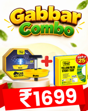 Gabbar Solar Trap + A5 Stikcy Trap Mix Pack of 25