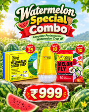 Watermelon Special Combo(Sticky Trap + Glass10+Melon Fly 10)